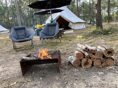 South Isis Otro | Childers Nature Camp