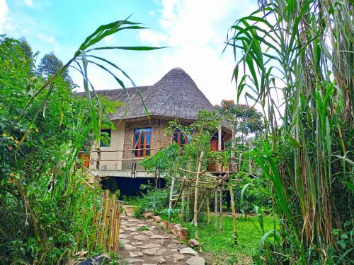 Kibale Complejo | Chimpanzee Capital Safari Lodge