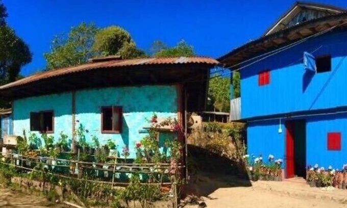 Ilam Otro | Chintapu Homestay In Ilam, Eastern Nepal