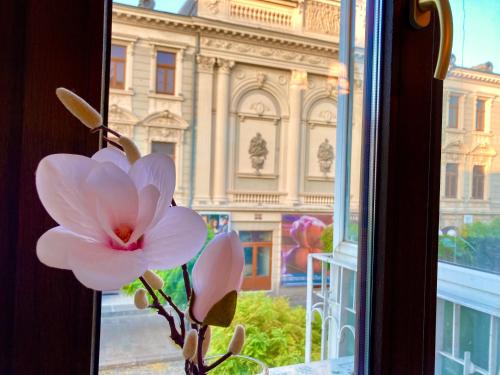 Braila Apartamento | Chira Chiralina Classic Apartment
