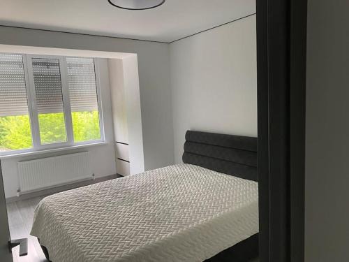 Causeni Apartamento | Chirie apartament