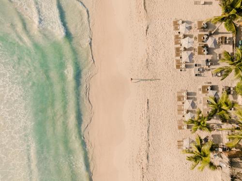 Zona Hotelera Hotel | Chiringuito Tulum