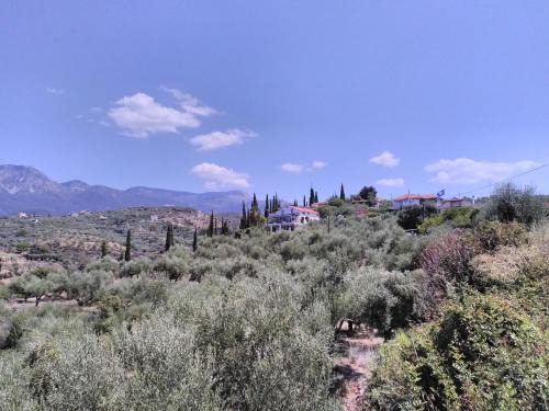 Kalamata Apartamento | Chirios Napa Studios