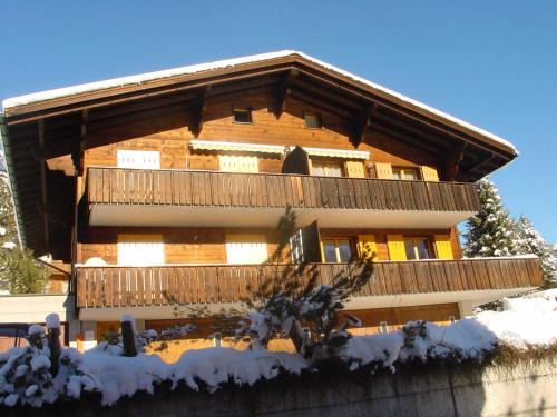 Grindelwald Apartamento | Chrinnengletscher