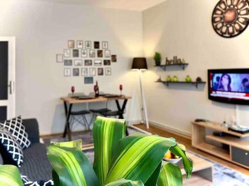 Gumussuyu Mahallesi Apartamento | Cihangir House