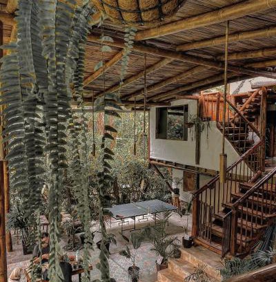 Mindo Casa | Cinnamon House