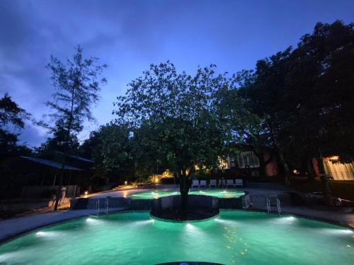 Pachmarhi Complejo | Citrus Prime Hill Queen Resort