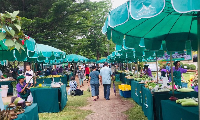 Surin Casa | Ciudad alrededor con ambiente de amor, gente amable y encantadora el elefante.