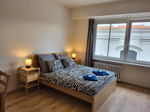 Brno-stred Apartamento | City Center Apartments - Moderna Brno Římské náměstí I
