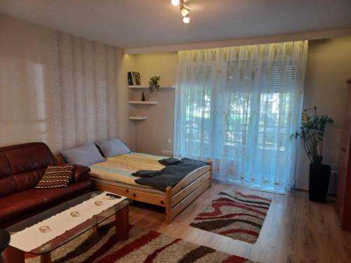 Alsorakos Apartamento | City Park Apartman