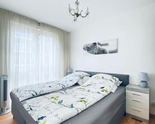 Orangerie Apartamento | CityCosy ORANGERIE Strasbourg Appartement 2 pièces en face de parc de L'Orangerie avec un parking souterrain compris