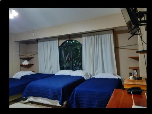 Santo Domingo Casa | CIUDAD DE MEXICO UNAM Guest House Casa de Huespedes