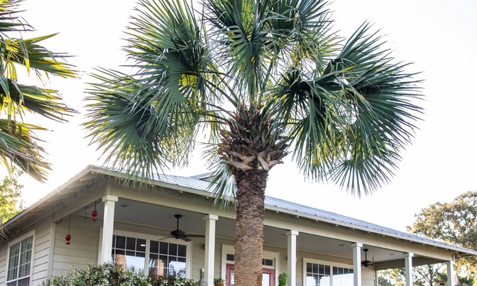 Shalimar Casa | Classic and Comfy Florida House on the Bayou