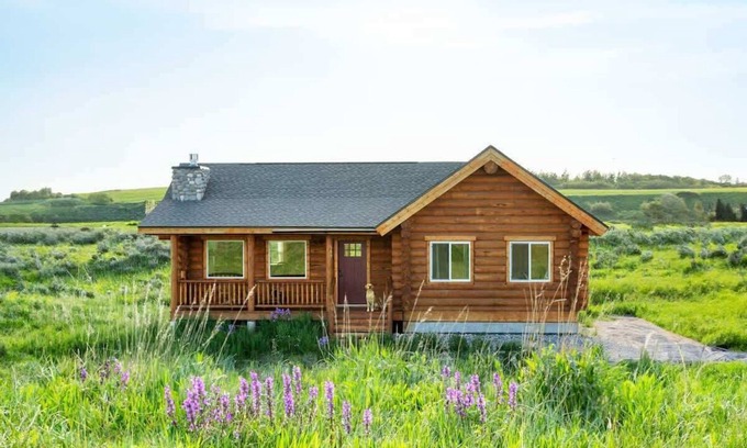 Tetonia Cabina | Classic Log Cabin, Epic Teton Views, & Pets OK!