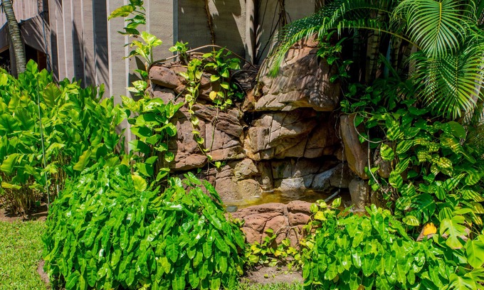 Ikoyi Complejo | Clear Essence California Spa & Wellness Resort