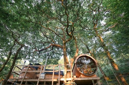 Bontddu Apartamento | Clogau Tree House Hot tub &sauna