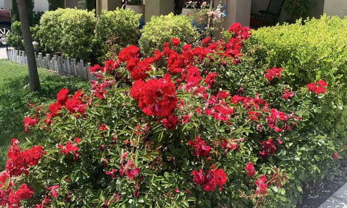El Dorado Hills Casa | Close for all the winter recreation~skiing, snowmobiling, hiking, archery
