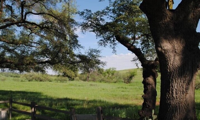 Sonoita Casa | Cerca de bodegas, carnicerías de Kartchner, Patagonia, acogedor, tranquilo, vista panorámica