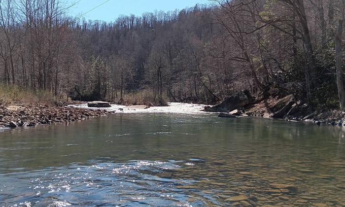 Nettie Cabina | Coal Siding Cabin on the Cherry River. Family and pet friendly!