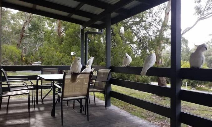 Halls Gap Casa | Cockatoo Cabin in Halls Gap