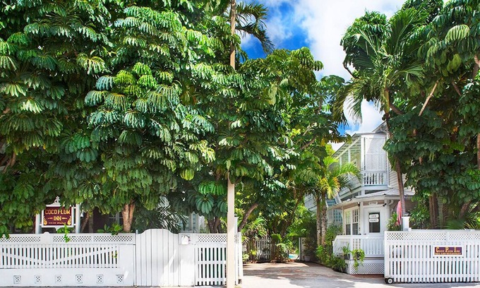 Downtown Casa | Coco Plum Inn