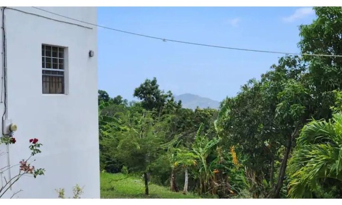 Vieux Fort Apartamento | Coconut Retreat