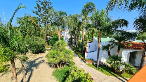 Forio Cama Y Desayuno | Cocos Park Ischia