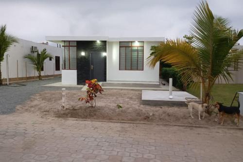 Cojimíes Apartamento | Cojimies Suite