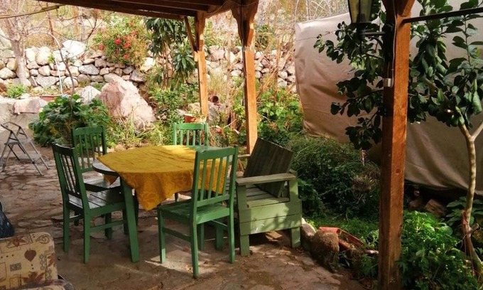 Pisco Elqui Casa | ColiobriElquino