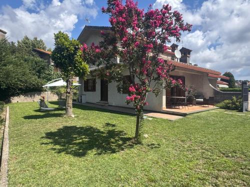 San Lorenzo Nuovo Apartamento | Come a Casa SLN