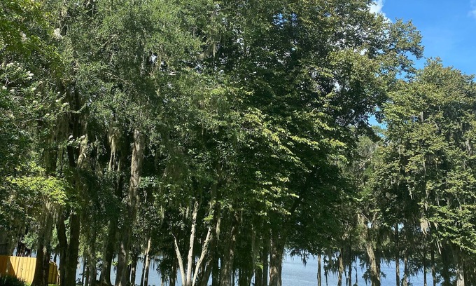 Lake Park Casa | Come stay and relax at the elegant Bienvenue Bed and Breakfast Inn