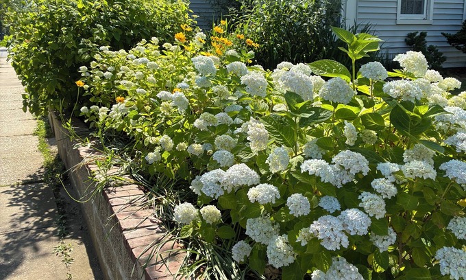 Greenport Casa | Come stay at The Whitman House a magical gem in the heart of Historic Greenport