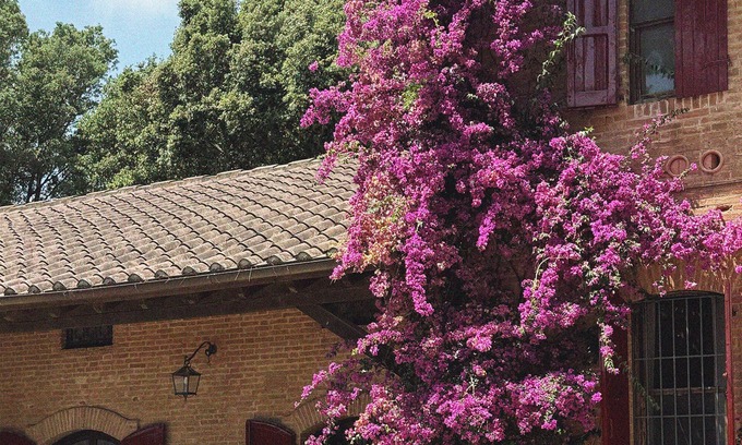 Grosseto Otro | Comet House Farmhouse