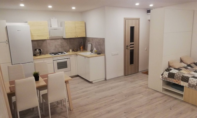 Panevezys Casa | Comfort Apartment Velzys