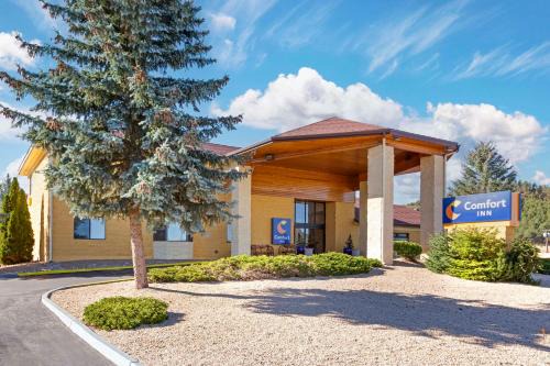 Williams Hotel | Comfort Inn Near Grand Canyon