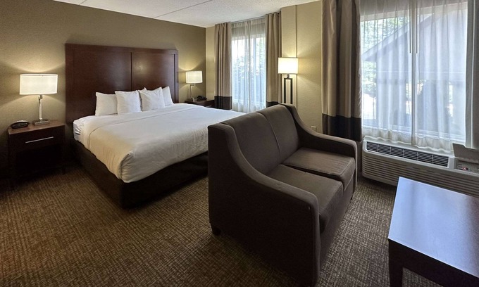 Paw Creek Hotel | Comfort Suites Airport