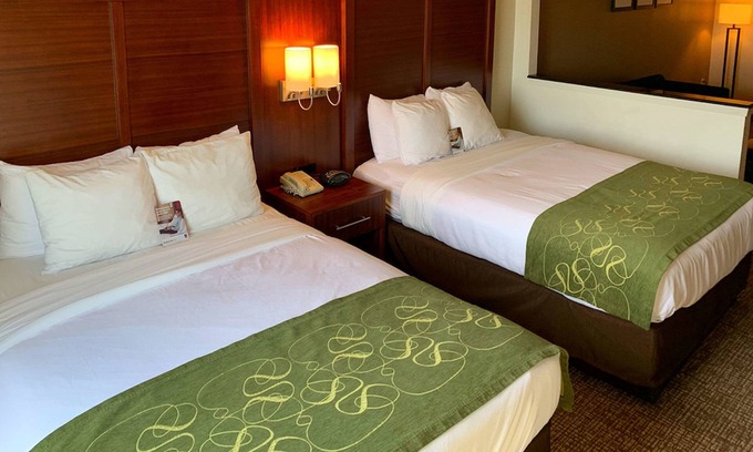 College Station Hotel | Comfort Suites Texas Ave.