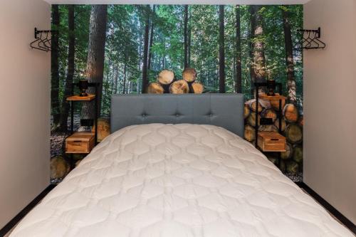 Schoonoord Casa | Comfortabel 2- persoons vakantiehuis nabij bos in Drenthe