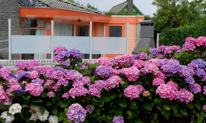 Julianadorp aan zee Casa | Casa de vacaciones de lujo, cómoda e independiente a 300 metros de la playa con WIFI