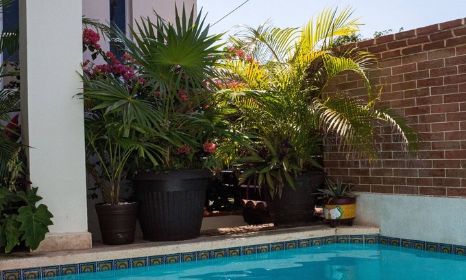 La Gloria Casa | Comfortable 4 bedroom home in local area with pool! Sleeps 8 people!