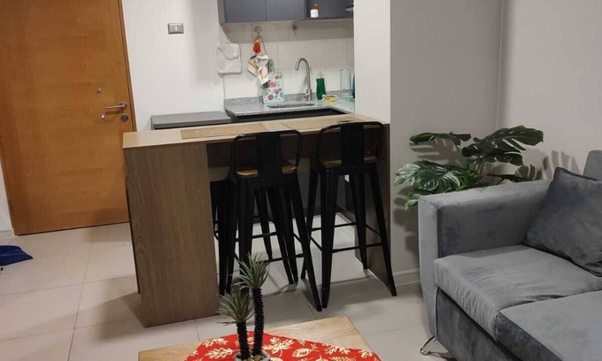 Downtown Santiago Apartamento | Cómodo Departamento en Santiago, con todos los servicios necesarios.
