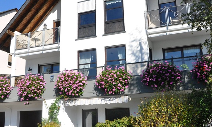 Mainz-Bingen Apartamento | Cómodo apartamento en los viñedos con una maravillosa vista del Rin y los castillos.