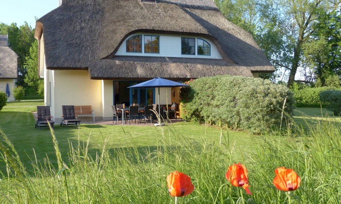 Puddemin Casa | DHH tejo 1 para 8 personas - acogedora cabaña de paja tejo 1: sauna, chimenea, 8 personas
