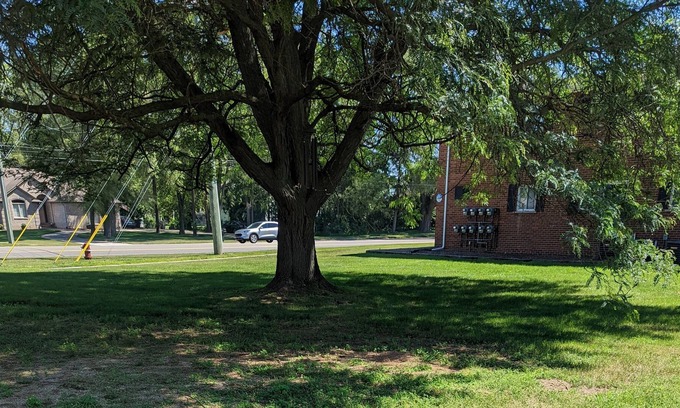 Shelby Township Apartamento | Comfy -1 Bedroom Apartment / Shelby Twp, Mi (Apt #2)