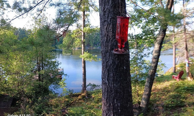 Selwyn Cabaña | Comfy 8-person cottage. STONEY LAKE. Kawarthas. Pet friendly. 90 mins Toronto
