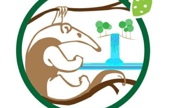 Bahía Drake Cabina | Complejo Ecoturistico Tamandua