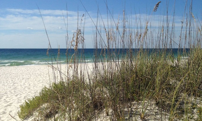 Orange Beach East Condominio | Big Balcony da al Golfo, solo para no fumadores, recién actualizado, Netflix y Wifi gratis