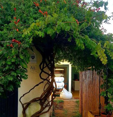 Vila do Conde Casa | Conde Surf Camp - junto ao mar - entire pvt house
