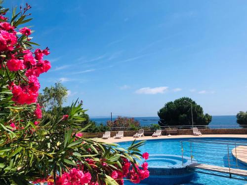 Ajaccio Apartamento | Confort et Sérénité, 2 Chambres, Piscine, Plage