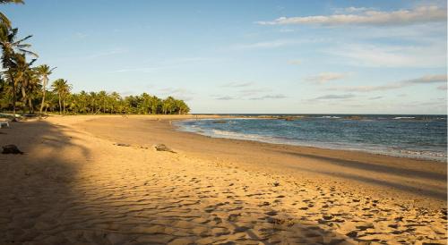Jaua Apartamento | Conforto e praia no litoral da Bahia